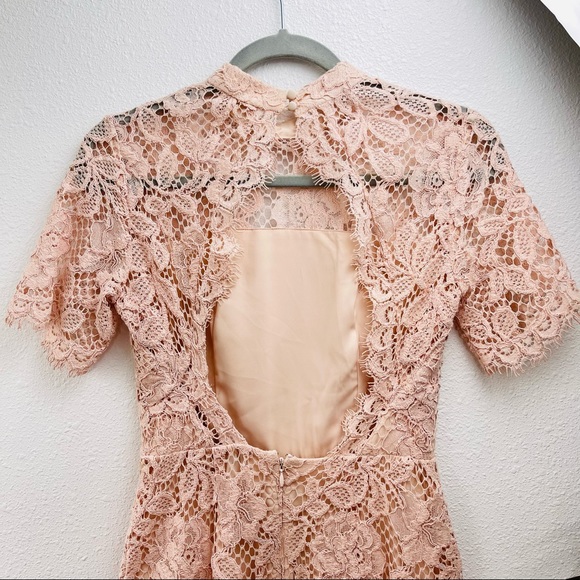 ALEXIS midi dress laced floral pink sheath bodycon nude formal wedding prom boho - Picture 11 of 14